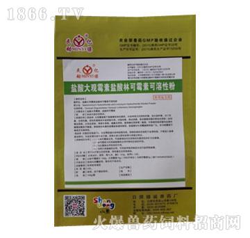 鹽酸大觀(guān),林可霉素 氣囊炎專(zhuān)用藥 產(chǎn)品圖片